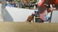 Видео и фото Рианна голая на пляже на фотосессии